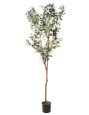 Olivo Haus 180 cm con maceta