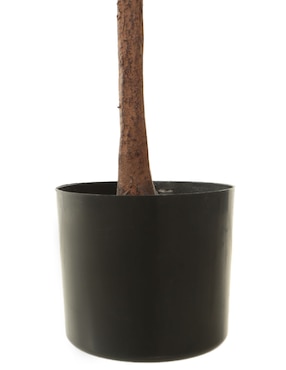 Olivo Haus 180 cm con maceta