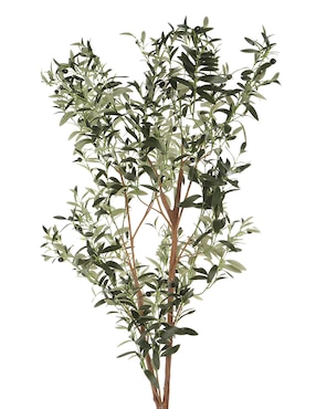 Olivo Haus 180 cm con maceta