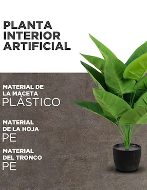 Anturio artificial Neytron Soluciones