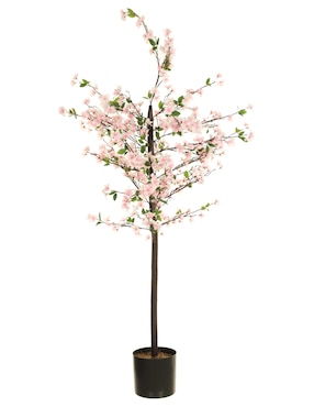 Árbol Bluebell & Co.