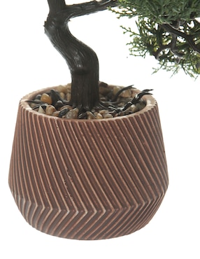 Bonsai Bluebell & Co. 26 cm con maceta