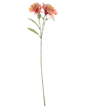 Alstromeria Bluebell & Co.