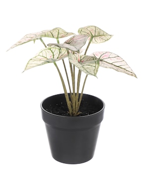 Caladium Artificial Bluebell & Co.