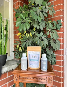 Insecticida para plantas Alibio Home