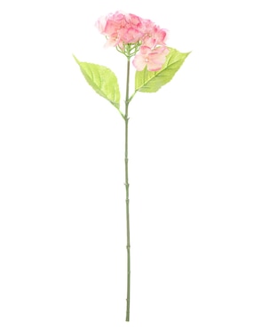 Hortensia Crown Baccara