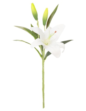 Lily Crown Baccara