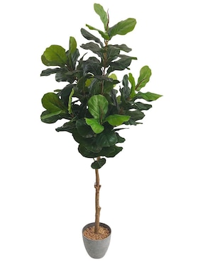 Ficus Artificial Artego