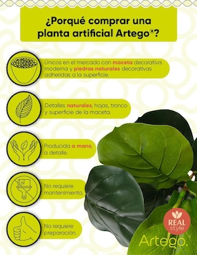 Ficus artificial Artego