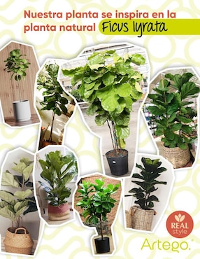 Ficus artificial Artego