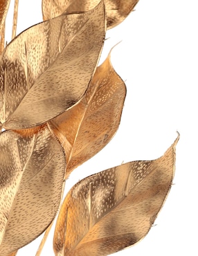 Vara decorativa Eximex
