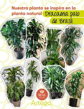 Palo de brasil artificial Artego