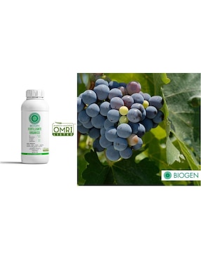 Fertilizante para todo tipo de plantas y césped Biogen 24710