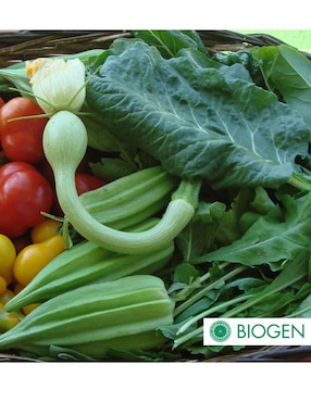 Fertilizante para todo tipo de plantas y césped Biogen 24710