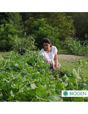 Fertilizante para todo tipo de plantas y césped Biogen 24710