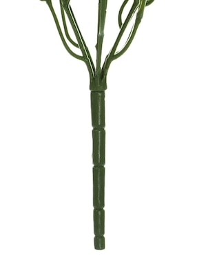 Ramo de pothos pick Haus