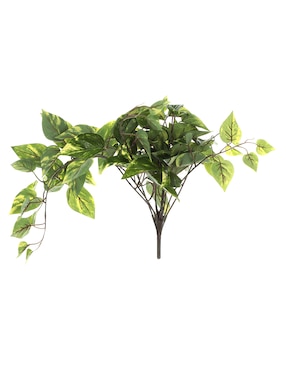 Ramo De Pothos Pick Haus