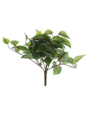 Ramo De Pothos Pick Haus