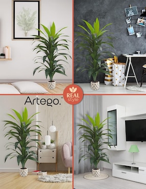 Palo de brasil artificial Artego con maceta