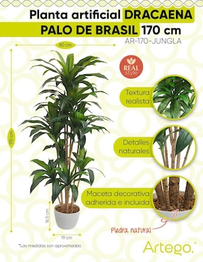 Palo de brasil artificial Artego con maceta
