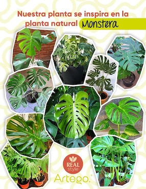 Monstera artificial Artego