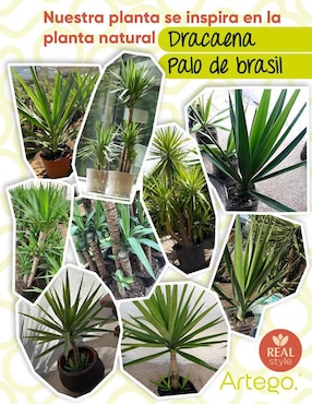 Palo de brasil artificial Artego