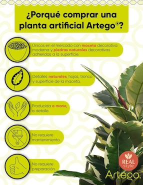 Ficus artificial Artego