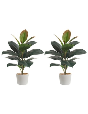 Ficus Artificial Artego