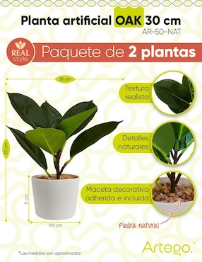 Ficus artificial Artego