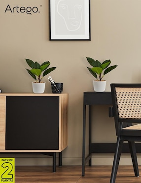 Ficus artificial Artego