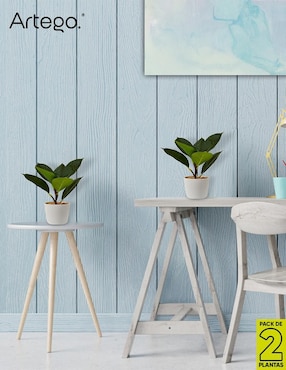 Ficus artificial Artego