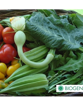 Fertilizante para todo tipo de plantas y césped Biogen 24712