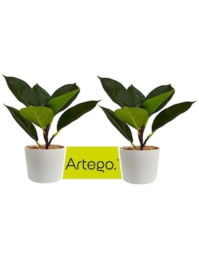 Ficus Artificial Artego Con Maceta