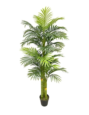 Palmera artificial Vanlig para interior