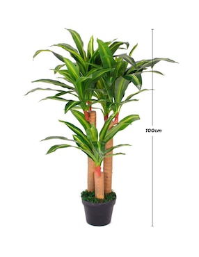 Palo de Brasil artificial Vanlig