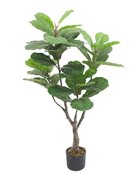 Ficus Artificial Vanlig Pandurata