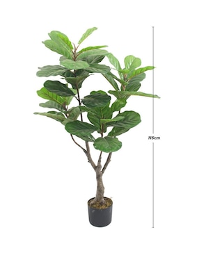 Ficus artificial Vanlig Pandurata