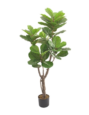 Ficus artificial Vanlig Pandurata