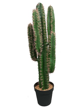 Cactus Artificial Sochic