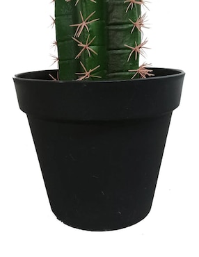 Cactus artificial Sochic