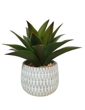 Agave Artificial Sochic