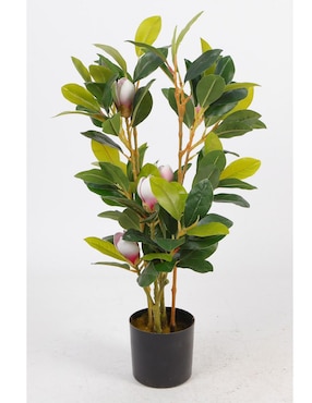 Magnolia artificial Sochic