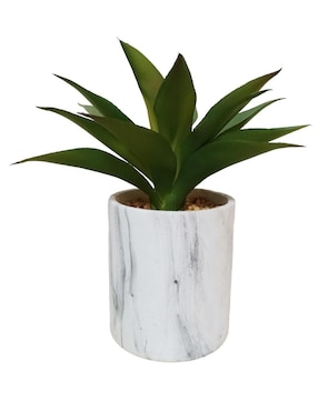 Agave Artificial Sochic Jaxon