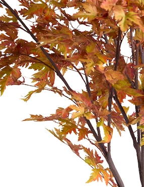 Maple Haus 240 cm con maceta