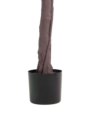 Maple Haus 240 cm con maceta