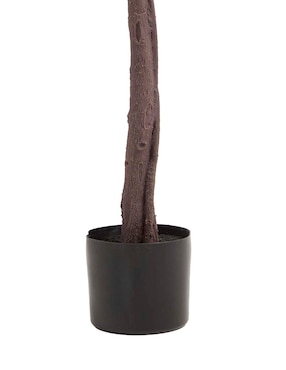Maple Haus 150 cm con maceta