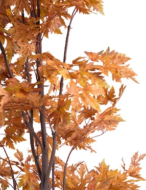 Maple Haus 240 cm con maceta