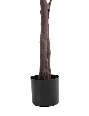 Maple Haus 240 cm con maceta