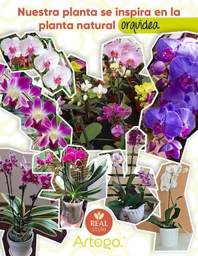 Orquídea artificial Artego con maceta