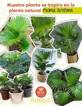 Palmera artificial Artego